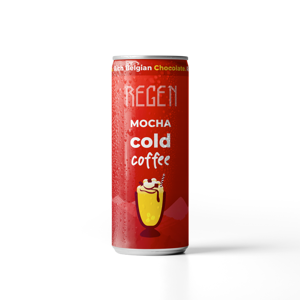 Mocha Cold Coffee | 250 ml Can
