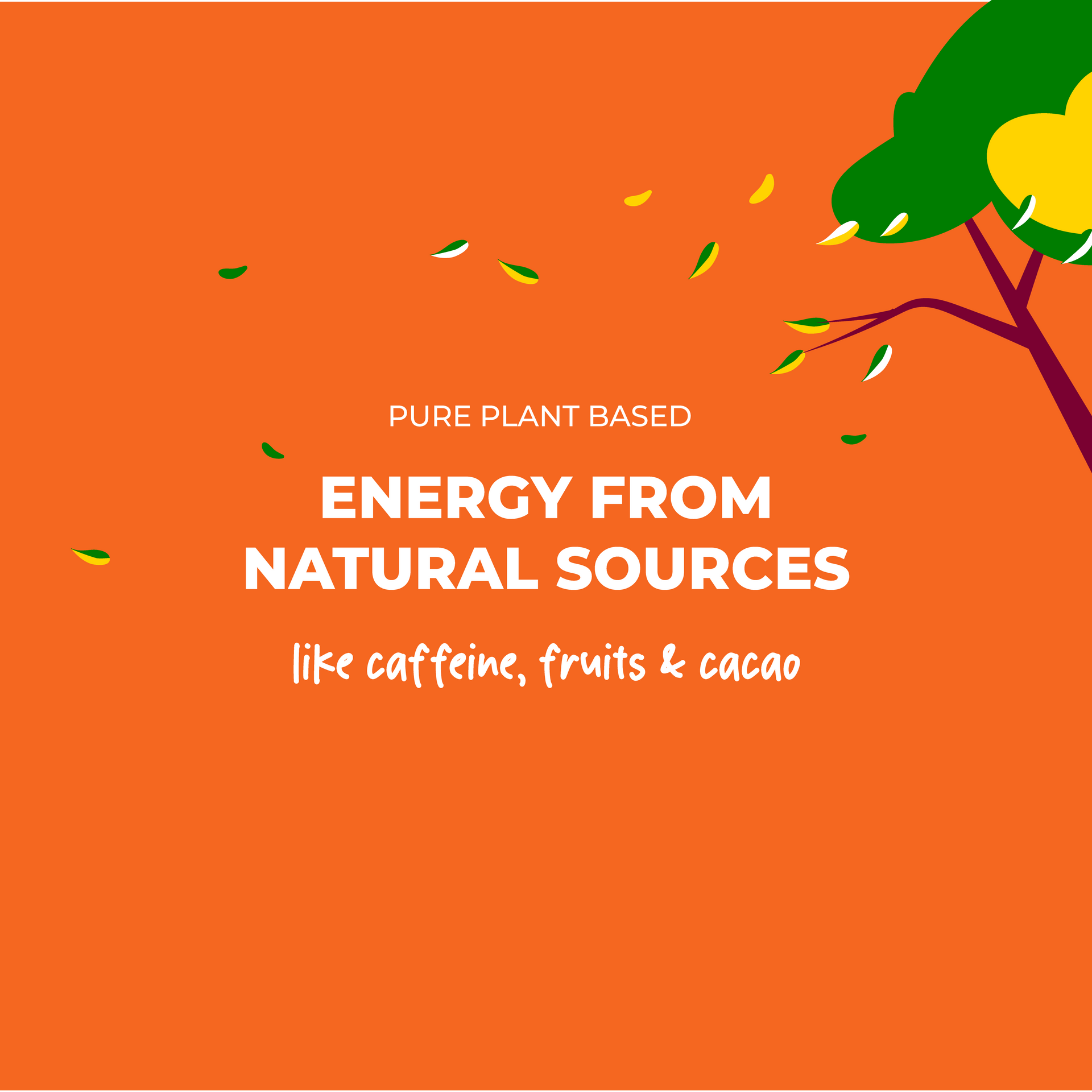 Natural_Sources_f73a3147-eda3-440c-a986-6ddc2dbe74cd - REGEN