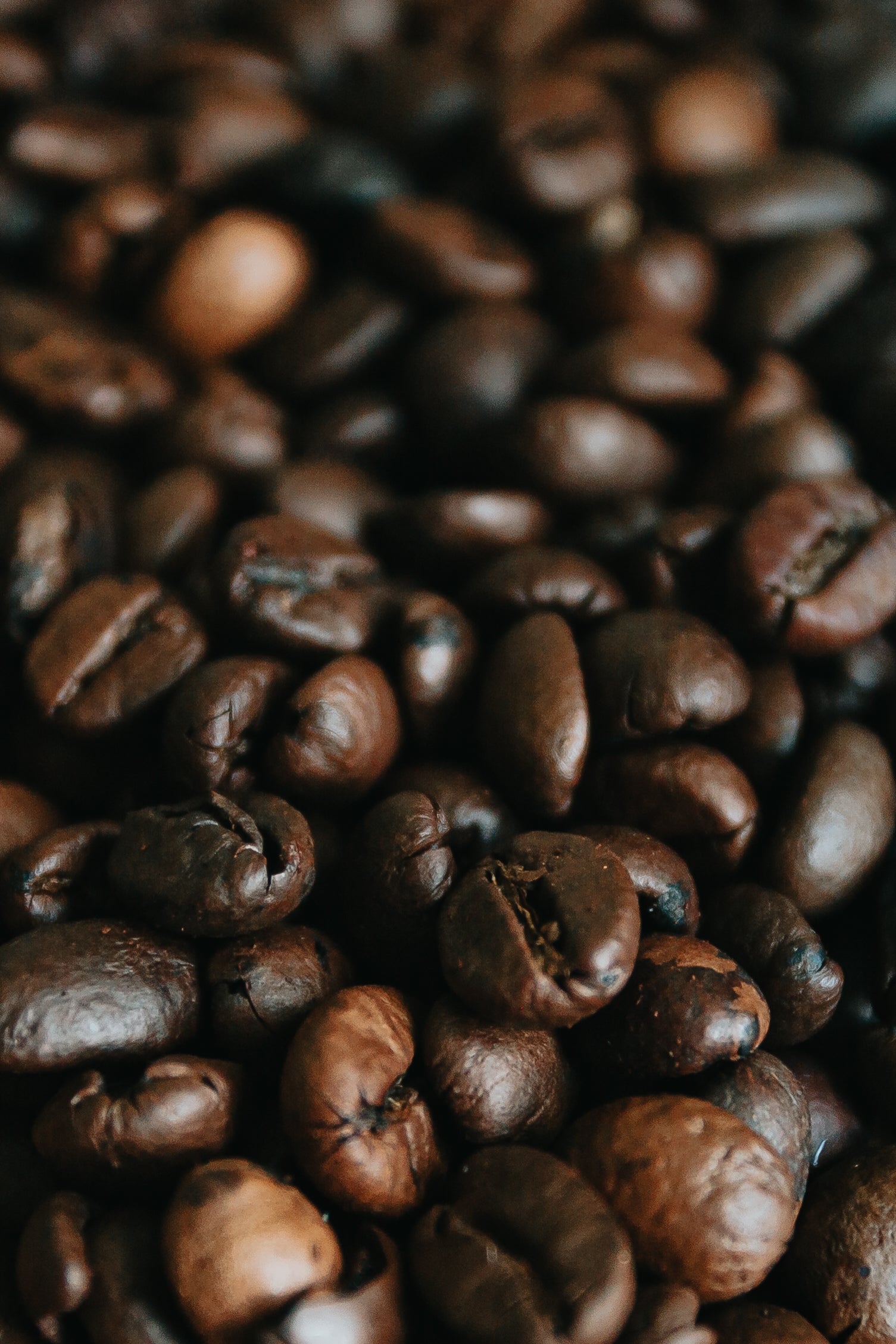 close-up-coffee-bean-texture - REGEN
